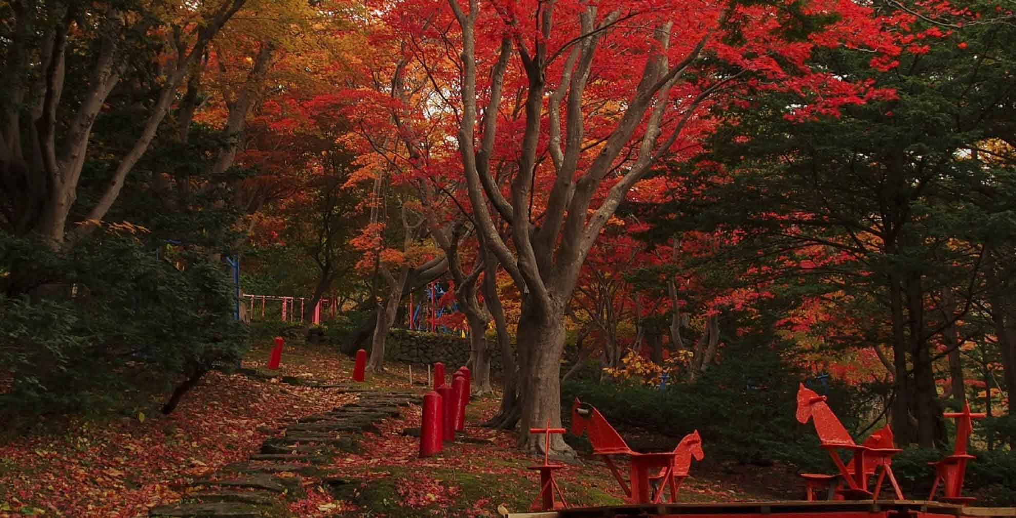 北海道小樽：秋の紅葉と小樽運河