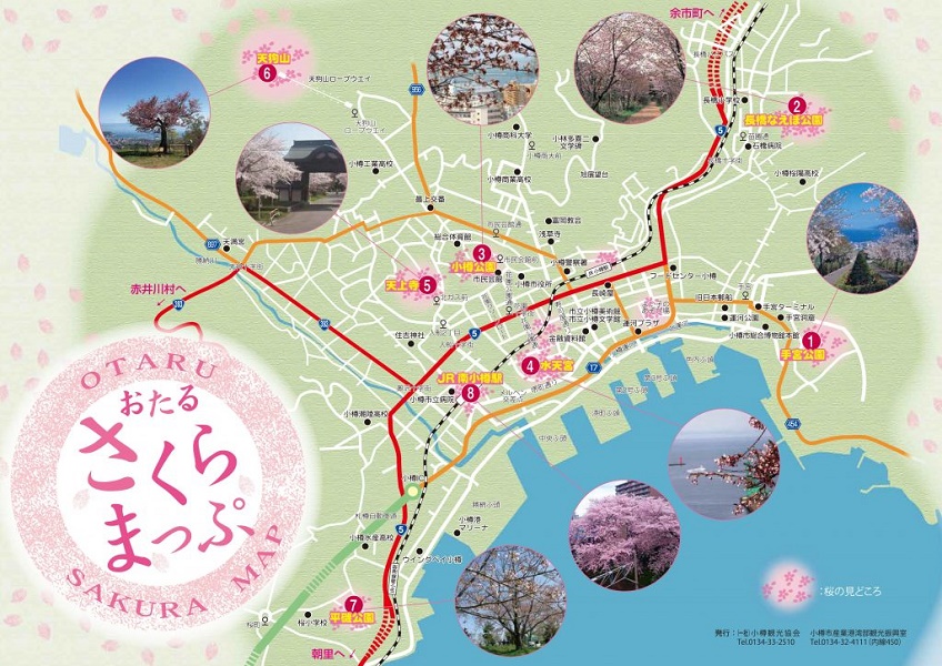  Otaru Sakura Map