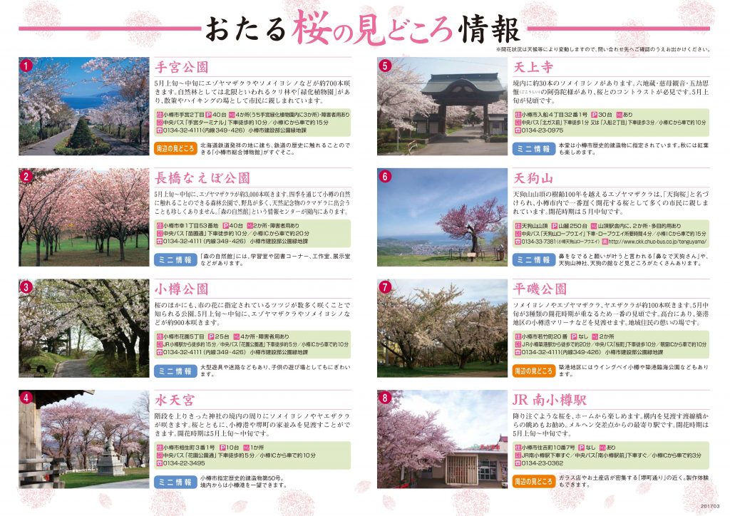  Otaru Sakura Map_back