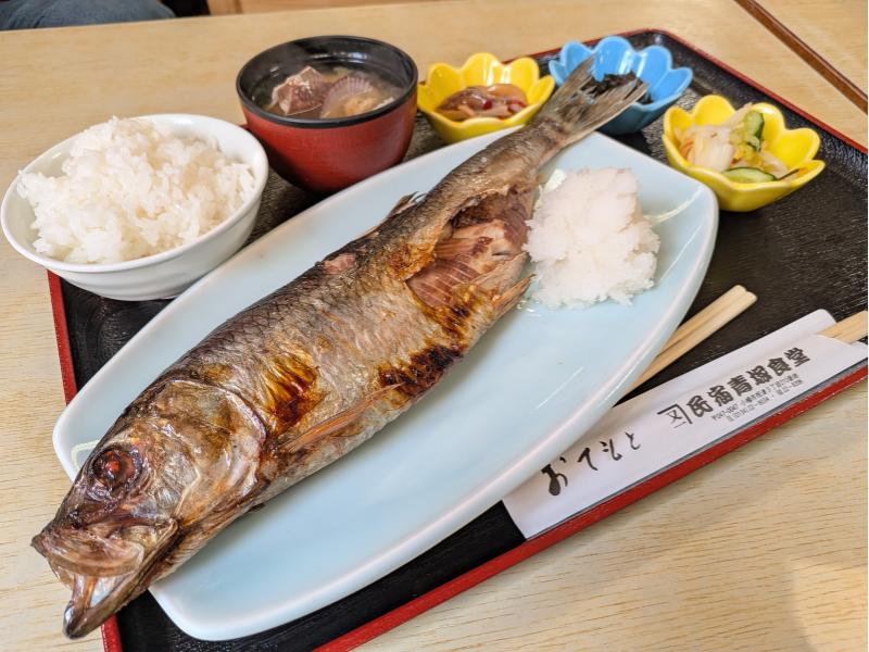 「民宿 青塚食堂」の特大にしん焼き定食。皿からはみ出すほど大きなニシンの塩焼きに、たっぷりの大根おろし、白米、汁物、小鉢が並んだボリューム満点の御膳。