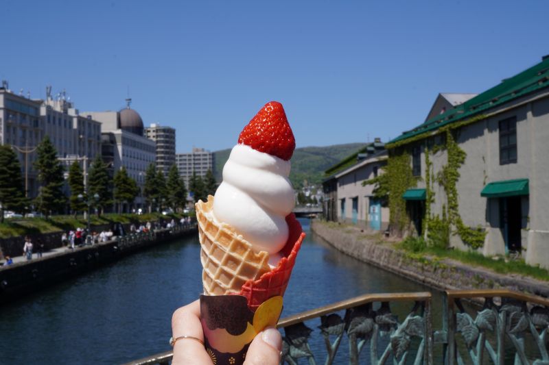 小樽運河と歴史的建造物の倉庫群をバックに、大きな赤いいちごがトッピングされた「小樽芸術村 浮世絵美術館ミュージアムカフェⅡ」のソフトクリームを手に持っている写真