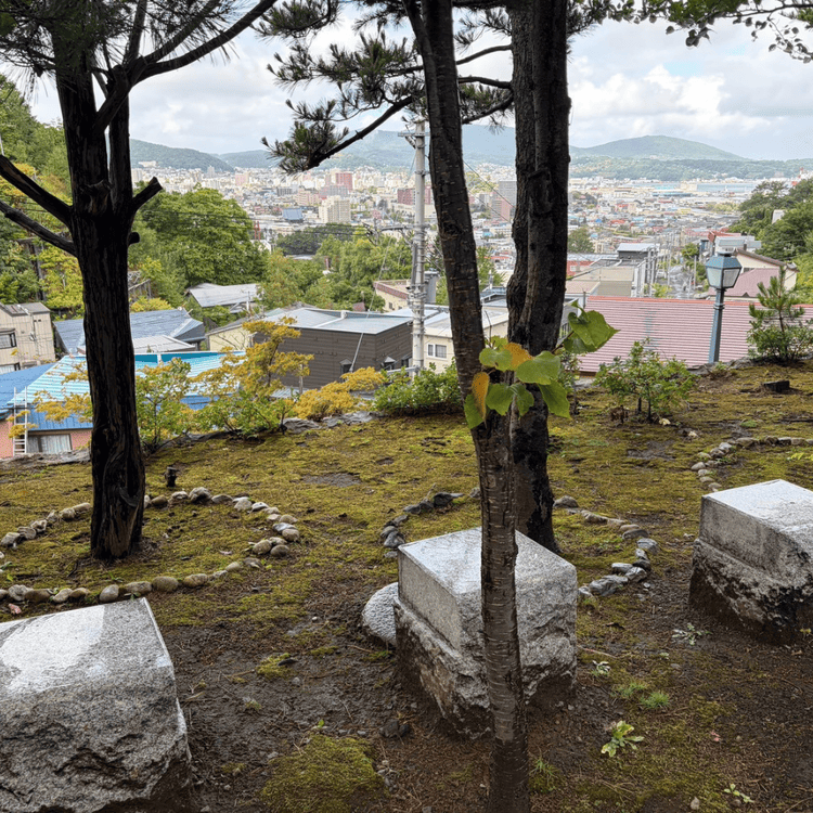 小樽・宗圓寺の境内から木々の合間に見下ろす小樽市街と港