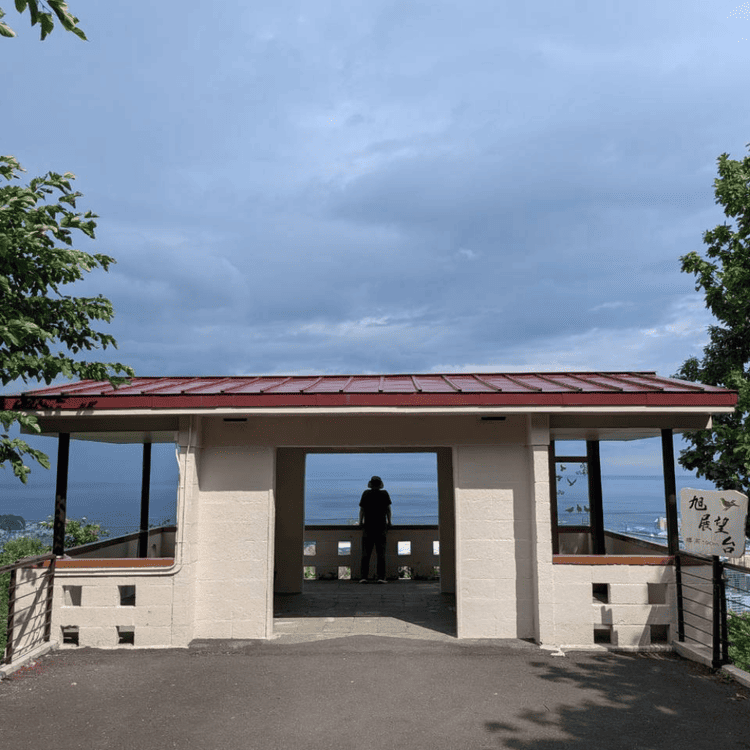 小樽の旭展望台から海を眺める様子